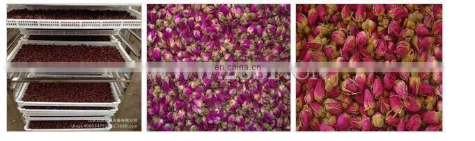 Grain product making machine Hot sale noodle, vegetable, herb tea flower fish machine solar drying machine / solar dryer