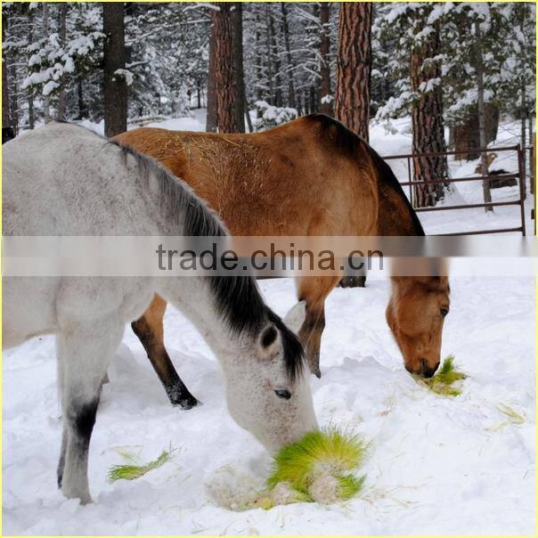 Cattle Fodder Sprout Making Machine | Hydroponic Cattle Fodder Sprout Making Machine | Hydroponic Fodder Making Machine