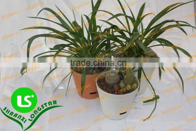 Excellent quality of Plastic flower pot