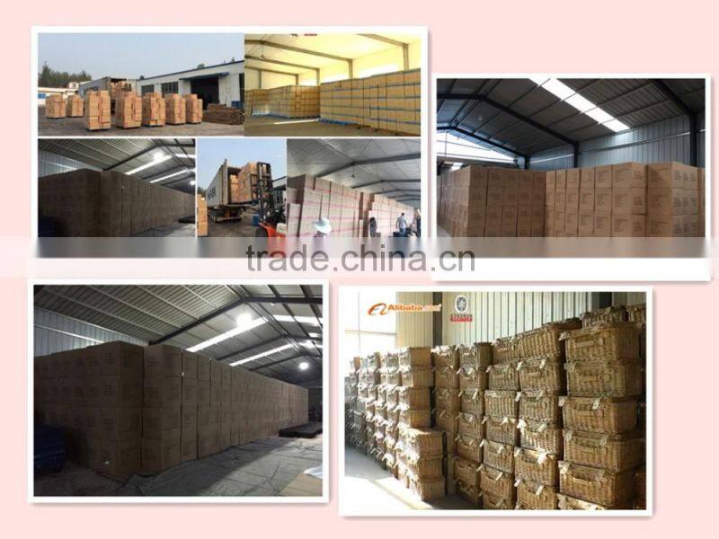 white flower pot,gardening pots for decoration, wholesale plant pots