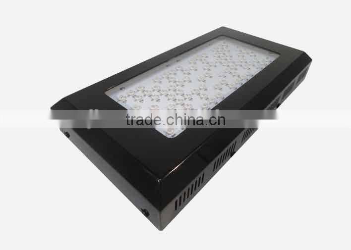 Indoor Plant Tissue Culture Lights full Spectrum Led Grow Light for greenhouse