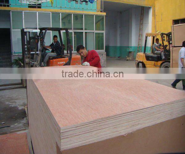 high quality bintangor plywood 2.5mm/3.6mm/4.6mm for South East Asia market