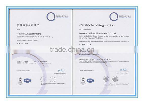 All Stainless Steel Oil filled Pressure Gauges With Bayonet Ring