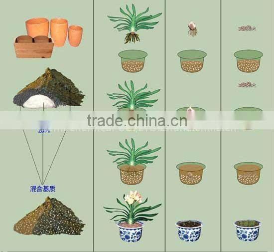 super absorbent polymer SAP for diaper and agriculture