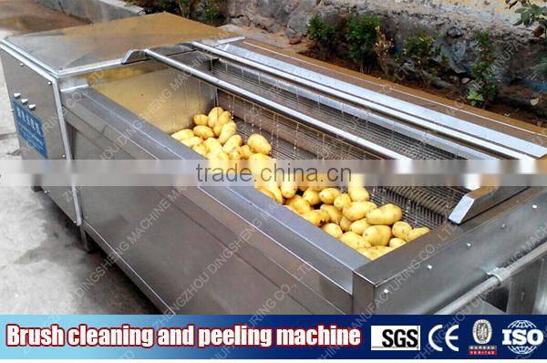 Hot sales Fruit cleaning equipment