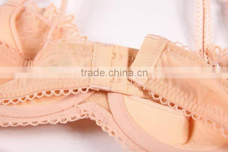Factory Direct Women Lingerie Sexy Bra Set (CAS033)