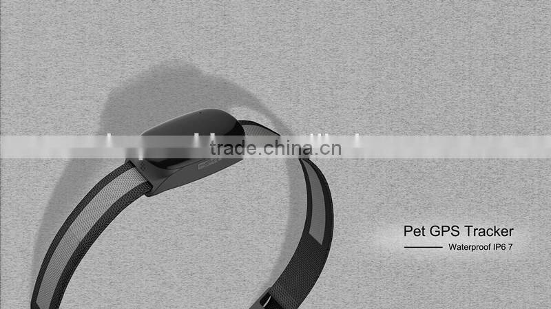 Hot Mini GPS locator worlds smallest pet gps tracker/gps tracker smallest