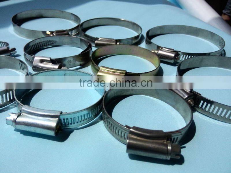 Supply high quality auto parts hose clamps/various types of hose claims