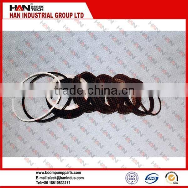 Putzmeister SLEWING SEAL KITS FOR CYLINDER for Outher Housing