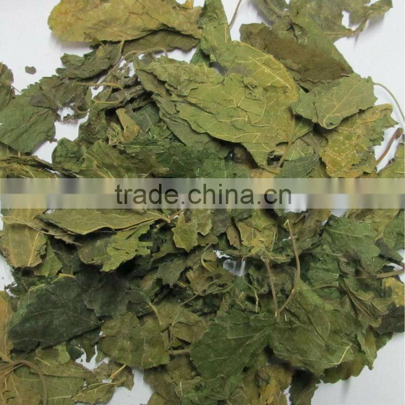 hamdard medicines sang ye dried Mulberry leaf