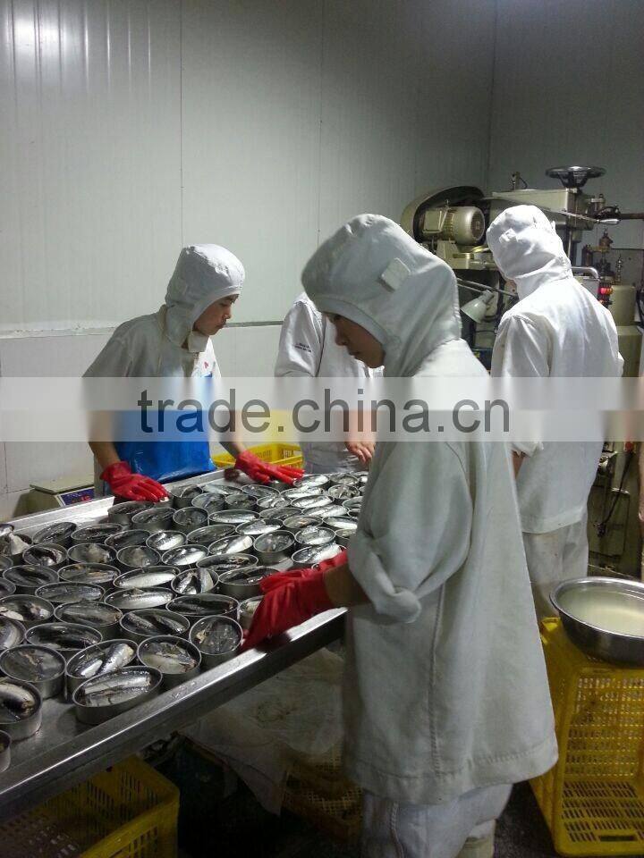 wholesale top quality canned mackerel best OEM