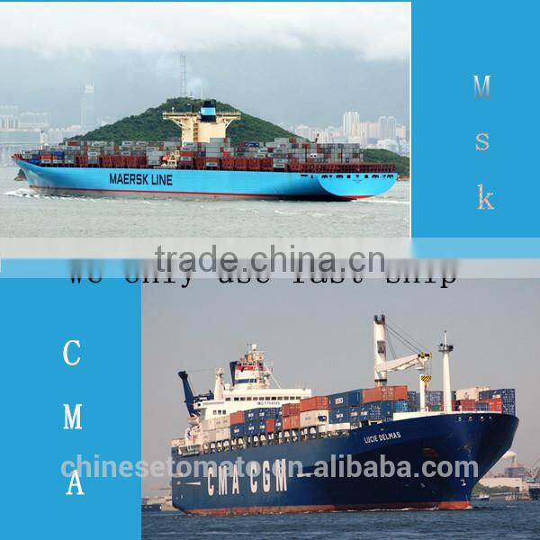 Canned Tuna Fish in Oil with High Quality