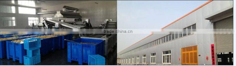 Russia market ,pink ,pickled sushi ginger