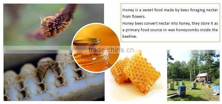 Manufacturer Wholesale Rape Honey Prices