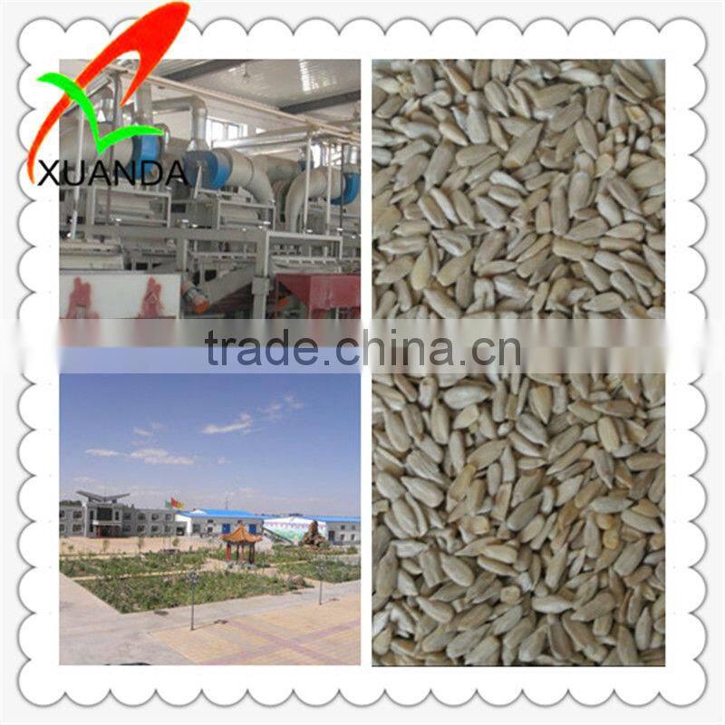 sunflowerkernel great sunflower seeds kernel china inner mongolia