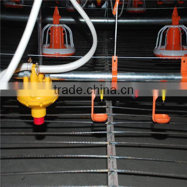 Automatic chicken broiler poultry drinking system