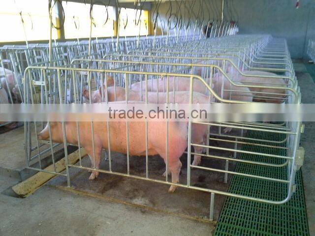 Good Quality Pig Gestation Stall Crate For Livestock Pen