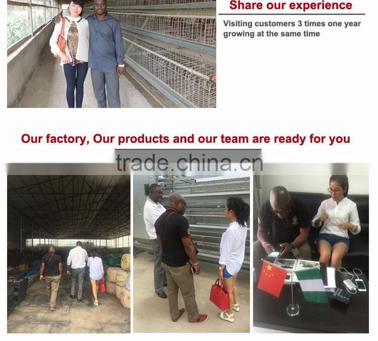 20 years lifespan A type of poultry egg chicken layer cage price