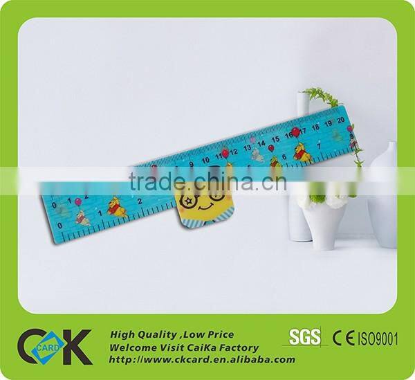 Customize PVC colorful ruler stationery set
