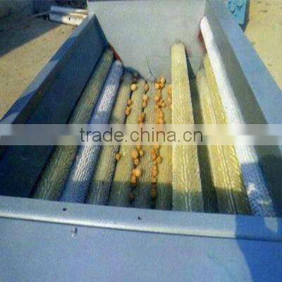 carrot washing processing machines and equipments