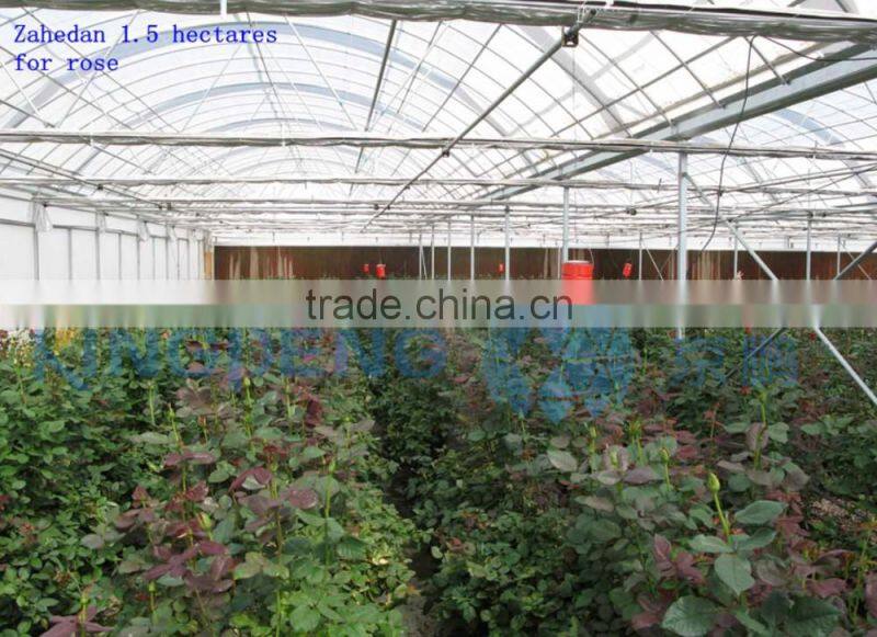 Plastic Film Greenhouse for Vegetable and Flower