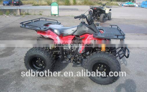Dingo ATV 150cc