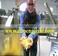 Jinan Eagle Kurkure manufacturing extruder machines