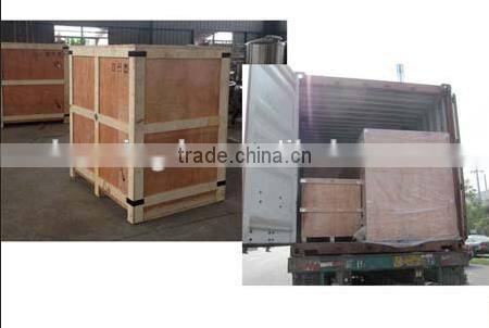 garlic skin peeling machine/garlic peelereauipment