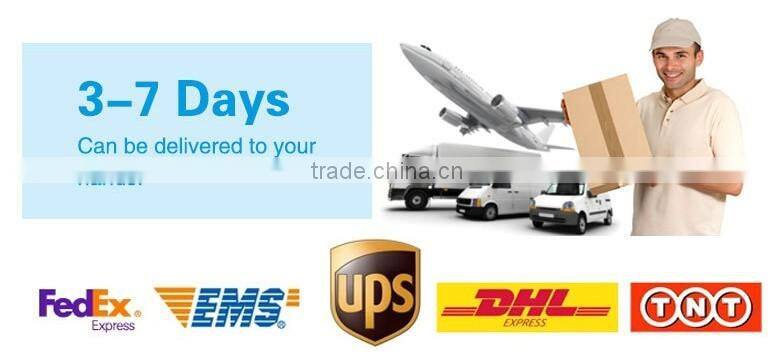 PP Plastic 15 compartments Transparent Electronic Components Storage Box Beads Box