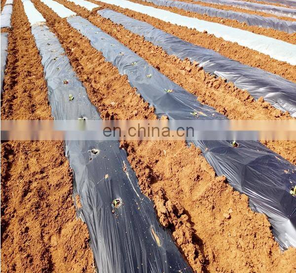 PE agricultural black and silver mulch film