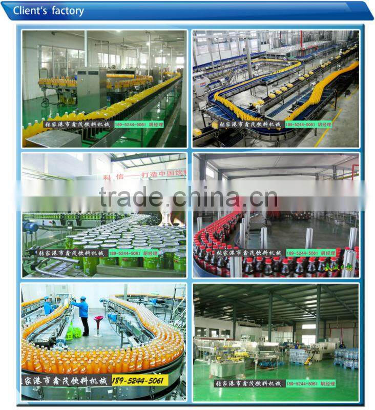 Soft drinks filling plant filling bottle machine wine in hot sales