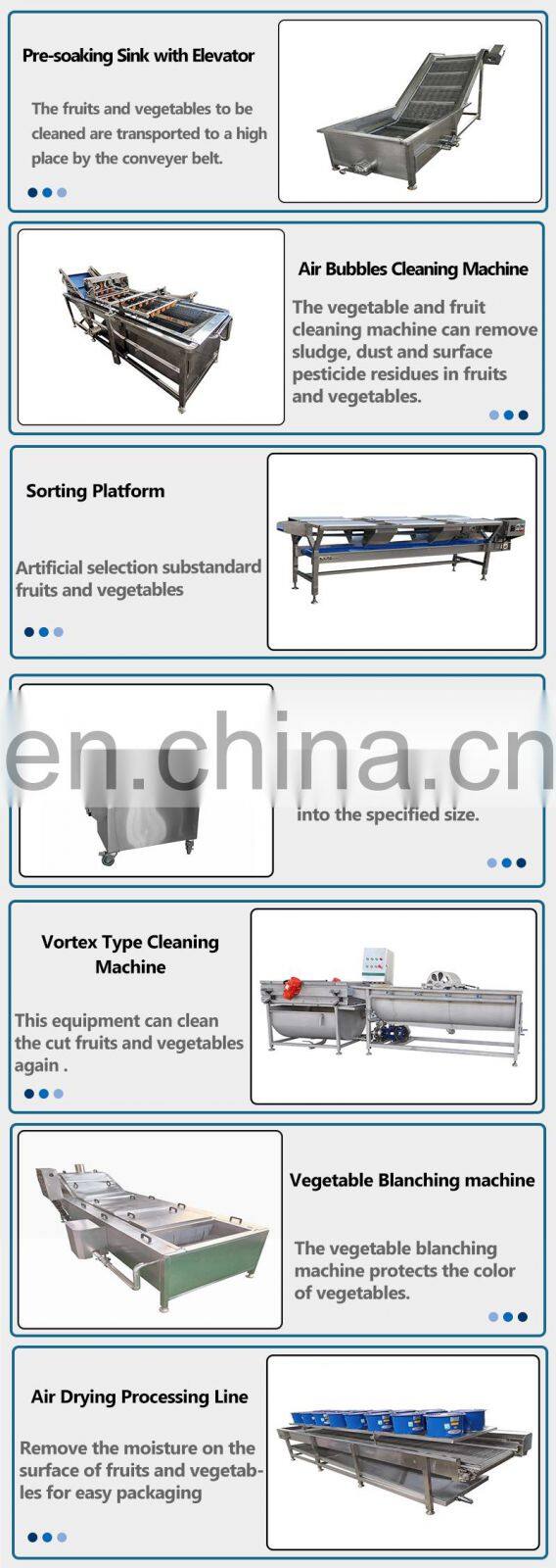 Hot sale fruit and vegetable washing equipment machine line