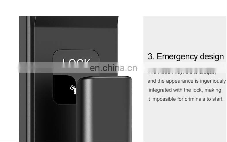 Popular Product Smart Push-Pull Digital rfid hotel card reader door lock support hotel version apartment version