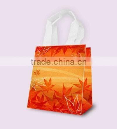 Fancy Gift Bag, Souvenir packaging Bags