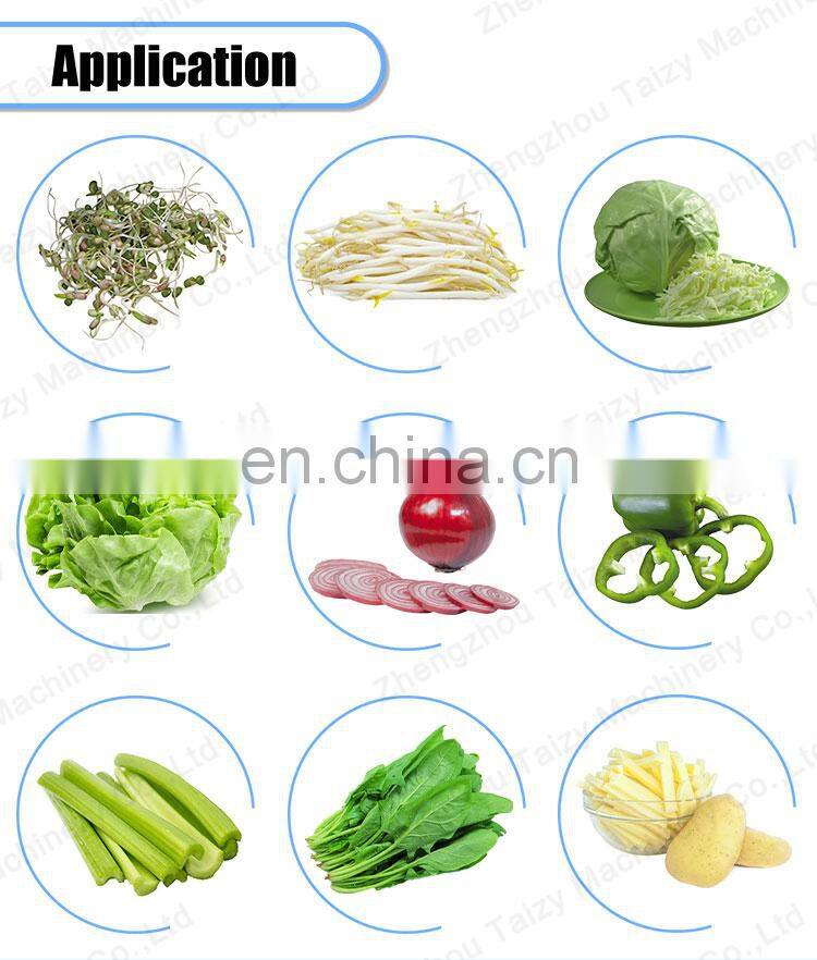 Vortex Cabbage Lettuce Fruit Washer Machine Spiral Salad Vegetable Cleaning Washing Machine