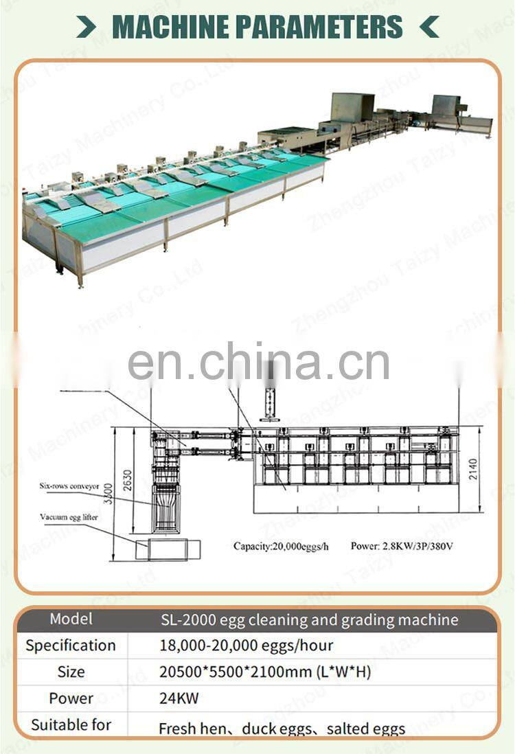 Industrial egg sorting machine candling grader