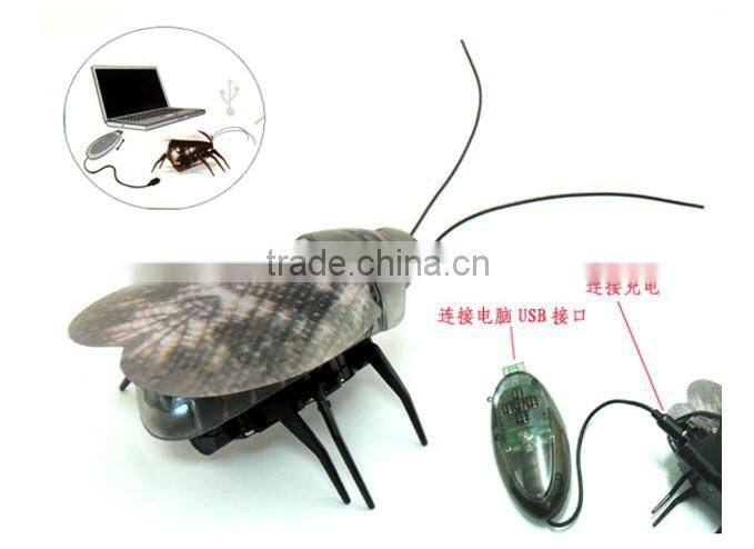 Infrared remote control fluorescence beetle toy