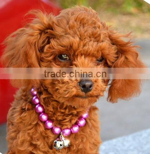 Dog pearls necklace collar charm pendant pet jewelry