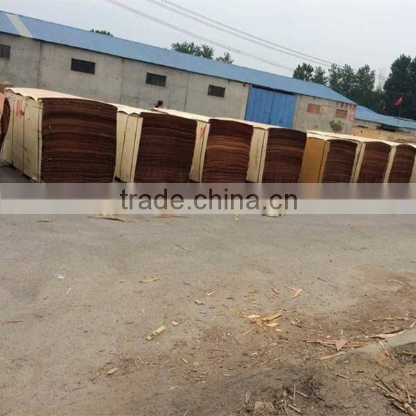 competity price 0.3mm rotary cut bintangor veneer