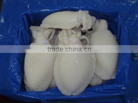 FROZEN CUTTLEFISH WHOLE CLEANED I F