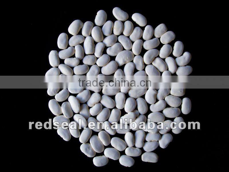 Dark red kidney beans for sale