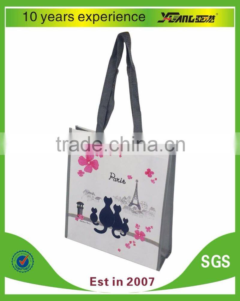 2016 Top Brand in China Leader Manufacturer Factory Price customized laminated pp non woven bag for shopping