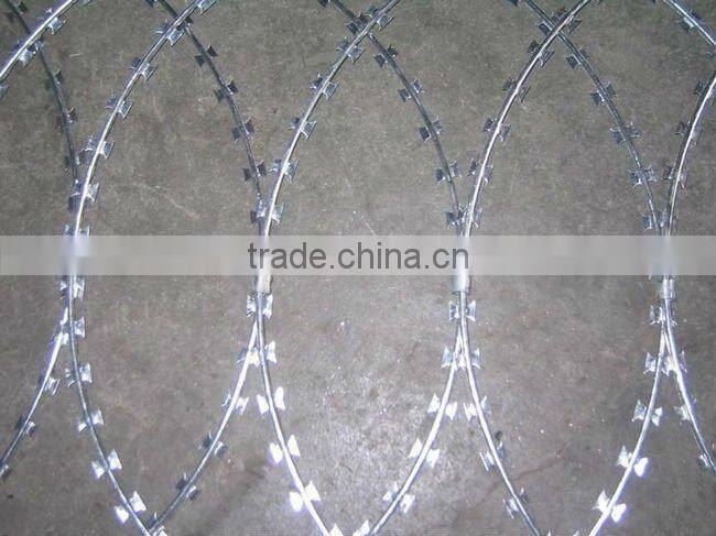 Razor barbed wire (professional manufacturer)