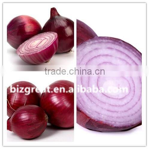 Hot sale fresh red onion with good quality for sale