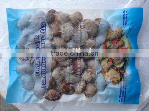 hot sale frozen shell whole baby clam