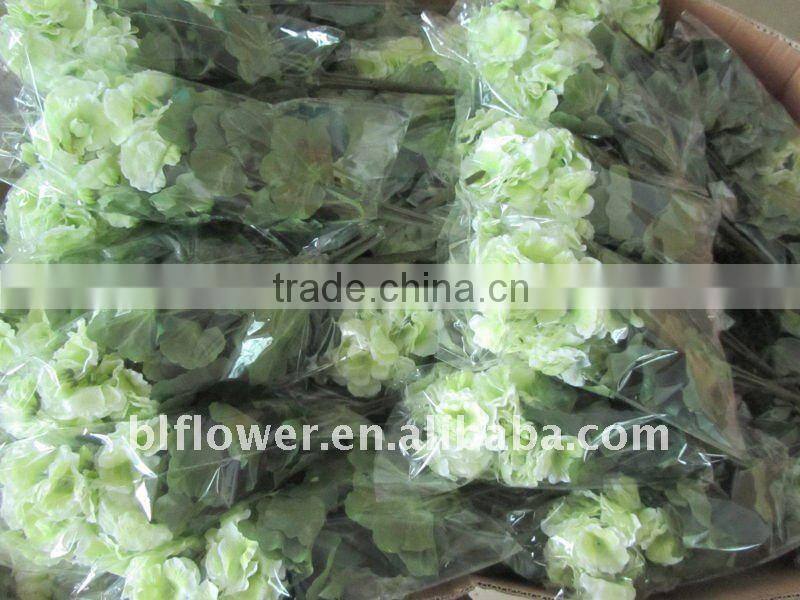 silk pink geranium blossom