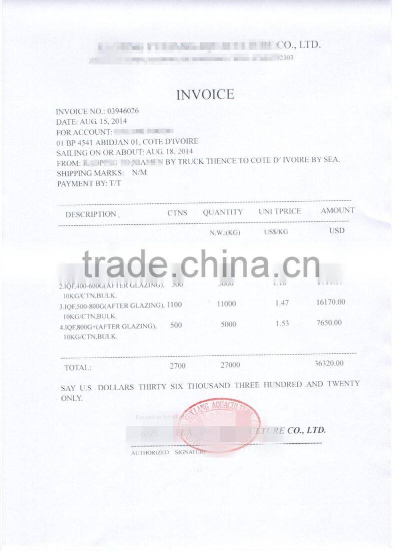 Pacific Mackerel Fish Whole Deep Frozen