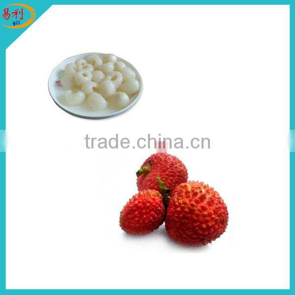 Hot selling canned lychee in light syrup 567g