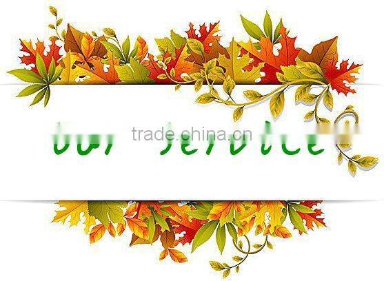 High Efficiency Roller Type Charcoal Briquette Making Machine with Competitive Price