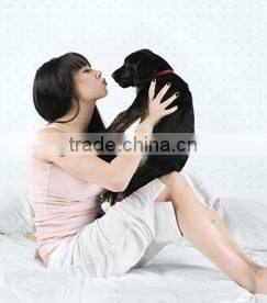 Wooden dog pet pin brush